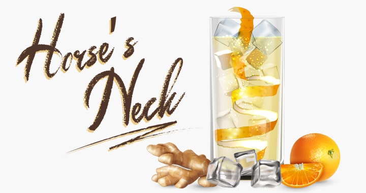 Horse’s Neck Whisky-Cocktail – Longdrink-Klassiker neu entdeckt