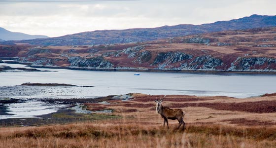 Panorama der Isle of Jura.