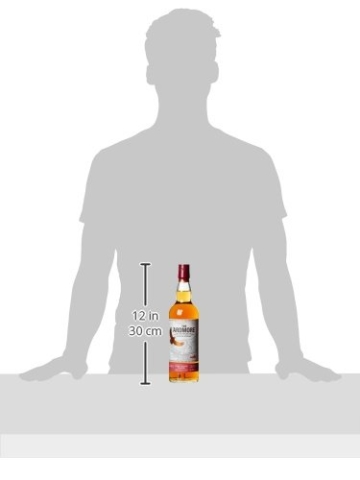 Ardmore Port Wood Finish Single Malt Whisky 12 Jahre (1 x 0.7 l) - 3